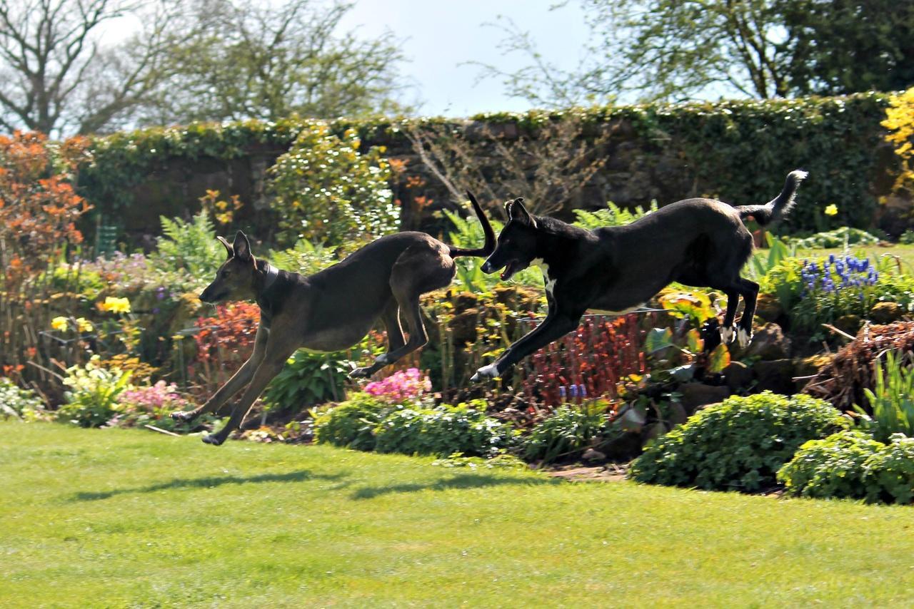 Church Farm B&B Near Telford And Ironbridge Shifnal Kültér fotó